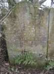 Headstone 2 in Ballynure Old Graveyard