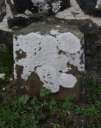 Headstone 203e in Ballynure Old Graveyard