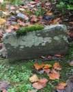 Headstone 223b in Ballynure Old Graveyard