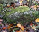 Headstone 277A in Ballynure Old Graveyard