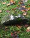 Headstone 283 in Ballynure Old Graveyard
