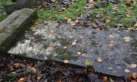 Headstone 308 in Ballynure Old Graveyard