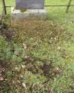 Headstone 343b in Ballynure Old Graveyard