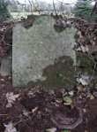 Headstone 442 in Ballynure Old Graveyard