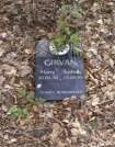 Headstone 451a in Ballynure Old Graveyard